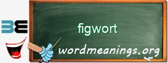 WordMeaning blackboard for figwort